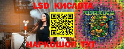 крисы Гатчина