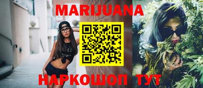 крисы Гатчина