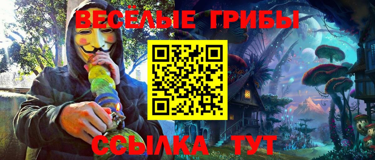 Новоалтайск  Псилоцибиновые грибы мухоморы  Вход с VPN 